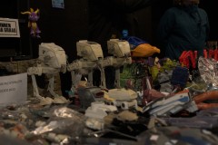 DSC_3605